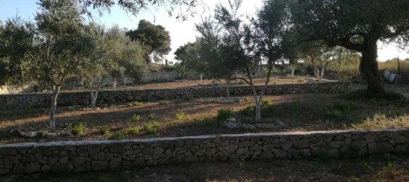 3 غرف نوم عقار تجاري في Zakynthos, Greece رقم 442 9