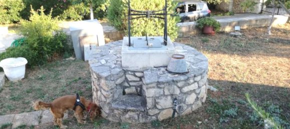 3 غرف نوم عقار تجاري في Zakynthos, Greece رقم 442 8