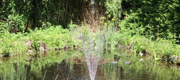 Hotel in Vogelsbergkreis, Germany No. 318139 19