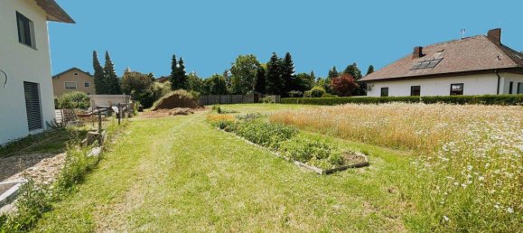 Terreno en Gunskirchen, Austria No. 203925 4