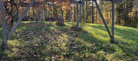 Земельный участок с 3 комнатами в Бад Лойперсдорф, Австрия № 124022 8