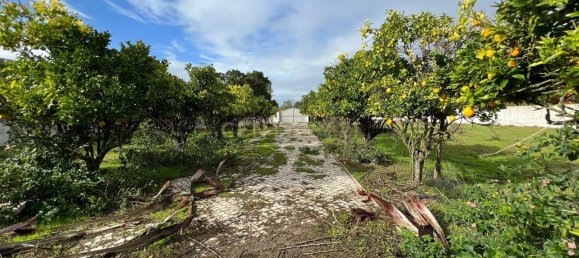 3 chambres Villa à Marinhais, Portugal No. 145105 23