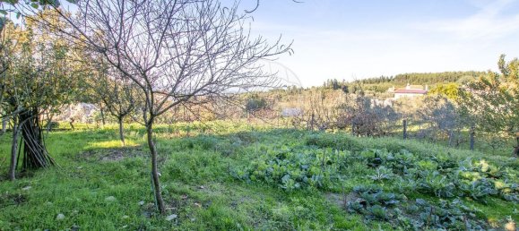 3 غرف نوم منزل في Nogueira do Cravo, Portugal رقم 168327 29