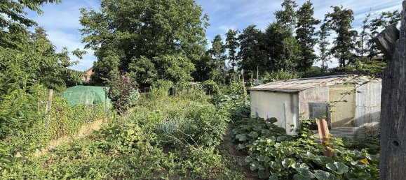 3 bedrooms Townhouse in Darmstadt-Dieburg, Germany No. 243018 8