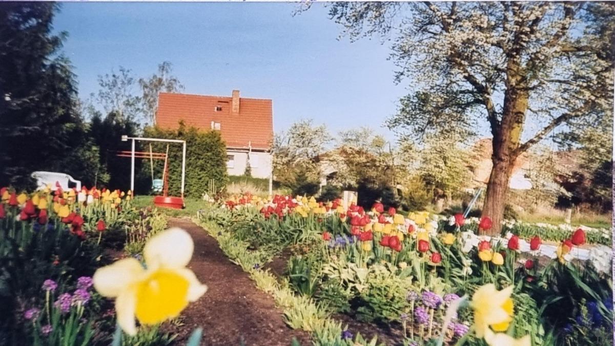 7-Zimmer Stadthaus in Börde, Germany, Nr. 332334