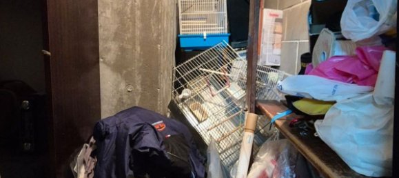 2-Zimmer Wohnung in Rovato, Italy, Nr. 273747 12