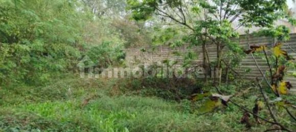 1غرفة مستودع في Torrevecchia Pia, Italy رقم 9838 9