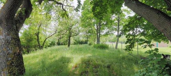 Terreno en Brunn am Gebirge, Austria 1232 m² No. 157027 3