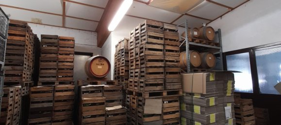 4 rooms Building in Bad Durkheim, Germany No. 117970 13