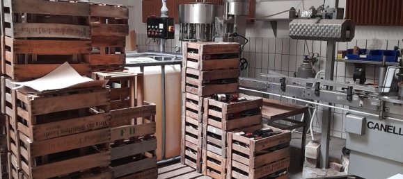 4 rooms Building in Bad Durkheim, Germany No. 117970 14