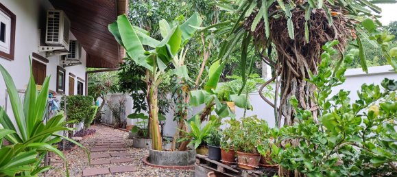 Кафе / ресторан с 3 спальнями в Паттайя, Таиланд № 19465 30