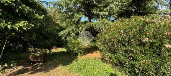 4 rooms House in Bruno, Italy No. 286738 4