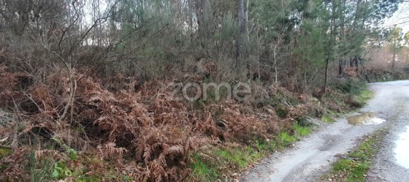  قطعة أرض في Calde, Portugal رقم 92471 5