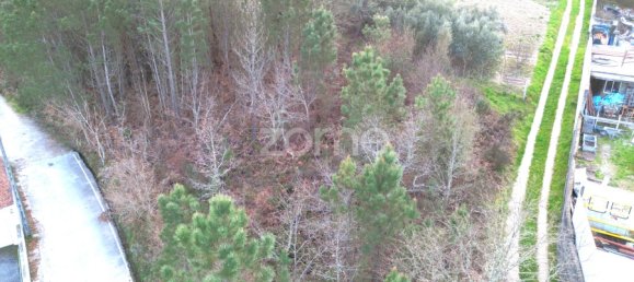  قطعة أرض في Calde, Portugal رقم 92471 3