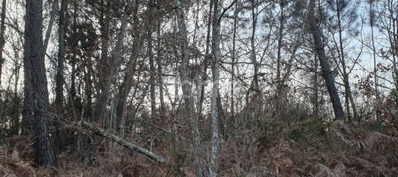  قطعة أرض في Calde, Portugal رقم 92471 13