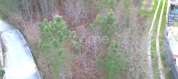  قطعة أرض في Calde, Portugal رقم 92471 12