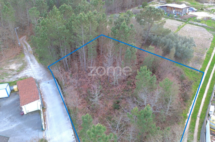  قطعة أرض في Calde, Portugal رقم 92471