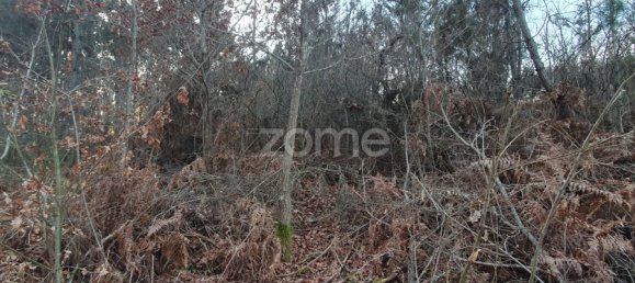  قطعة أرض في Calde, Portugal رقم 92471 7