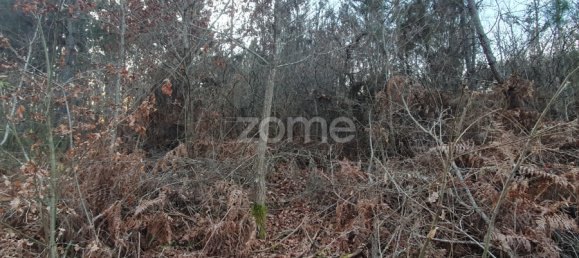  قطعة أرض في Calde, Portugal رقم 92471 10