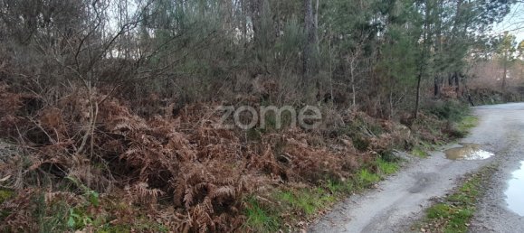  قطعة أرض في Calde, Portugal رقم 92471 9