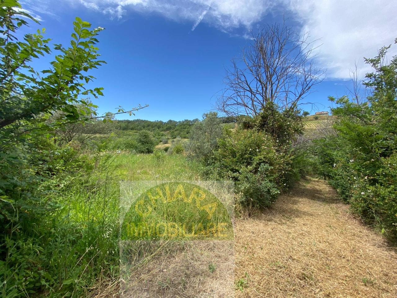 5 rooms House in Cupello, Italy No. 68868