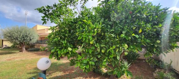 4-Zimmer Villa in Syracuse, Italy, Nr. 247168 2