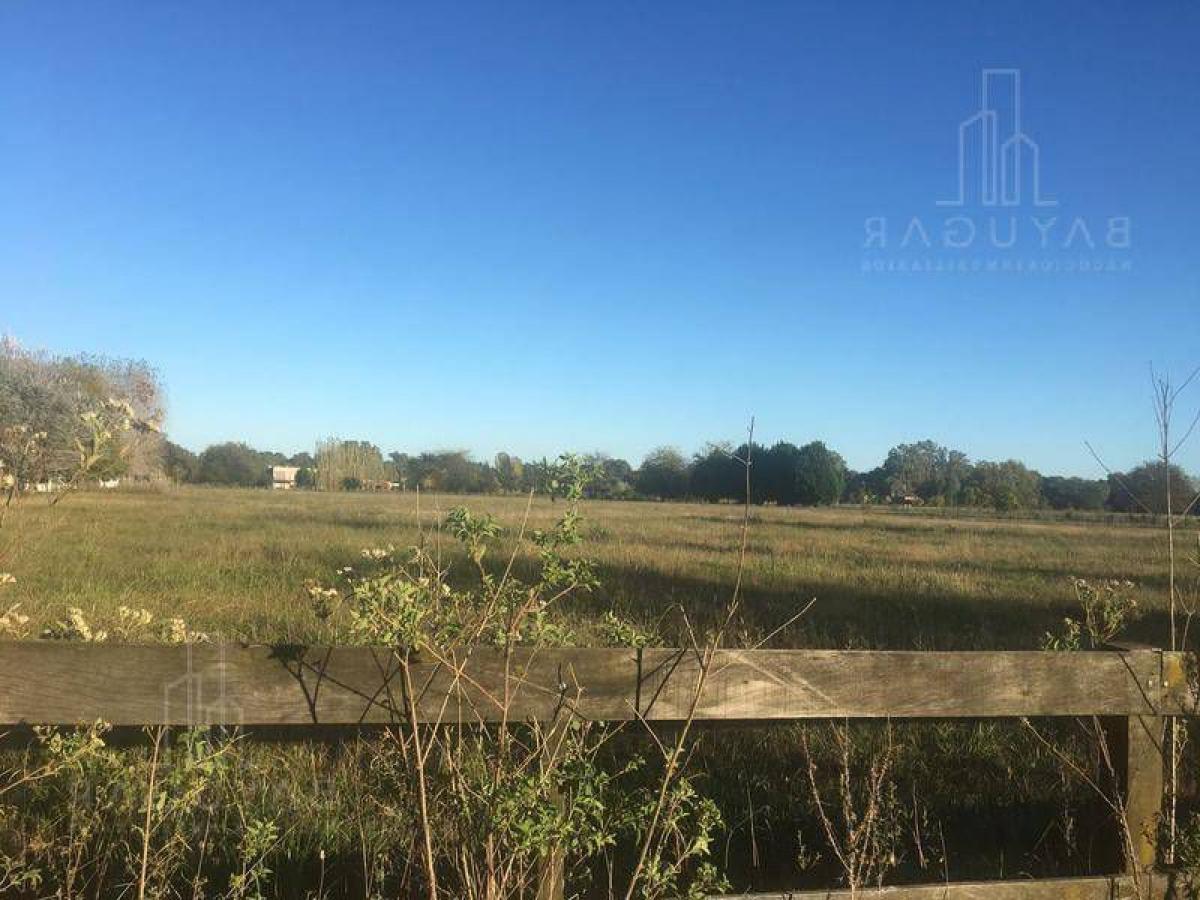 1 bedroom Land in Buenos Aires, Argentina No. 117387