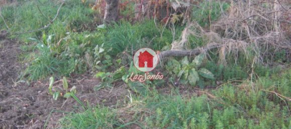  قطعة أرض في Vila do Conde, Portugal 1000متر مربع رقم 85253 4