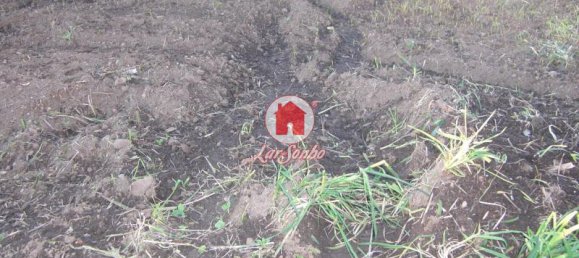  قطعة أرض في Vila do Conde, Portugal 1000متر مربع رقم 85253 3