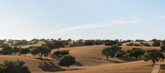 Casa T3 em Beja, Portugal N.º 120562 17