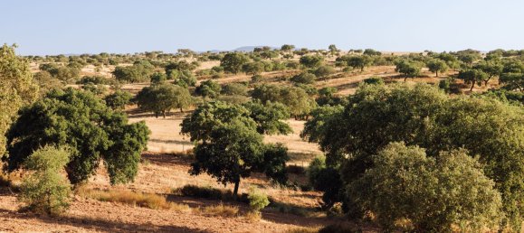 Casa T3 em Beja, Portugal N.º 120562 19