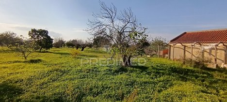 Terrain à Palmela, Portugal 7320m² No. 74575