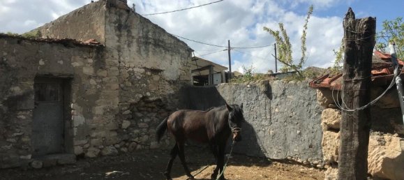 Коммерческая недвижимость 375м² в Ираклион, Греция № 3643 17