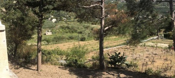 Коммерческая недвижимость 375м² в Ираклион, Греция № 3643 14