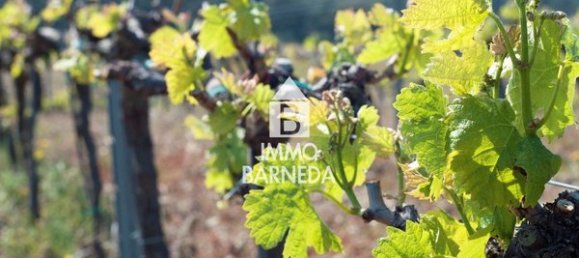 561m² Land in Garriguella, Spain No. 73547 7