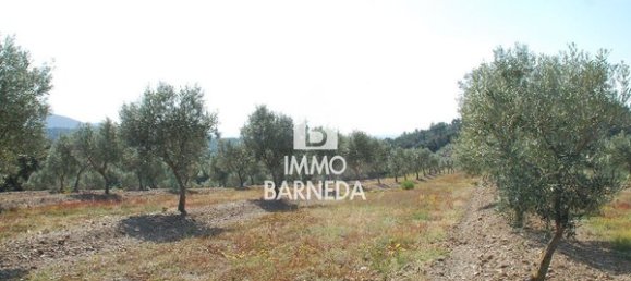 561m² Land in Garriguella, Spain No. 73547 8