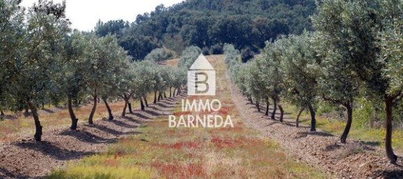 561m² Land in Garriguella, Spain No. 73547 13