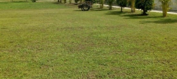  Commercial property in Chiang Mai, Thailand No. 4992 10