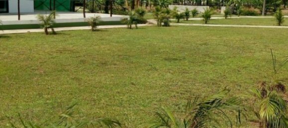  Commercial property in Chiang Mai, Thailand No. 4992 7