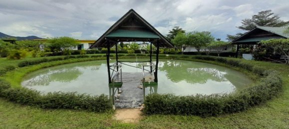  Commercial property in Chiang Mai, Thailand No. 4992 20