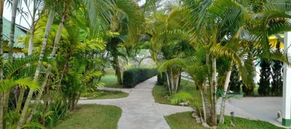  Commercial property in Chiang Mai, Thailand No. 4992 11