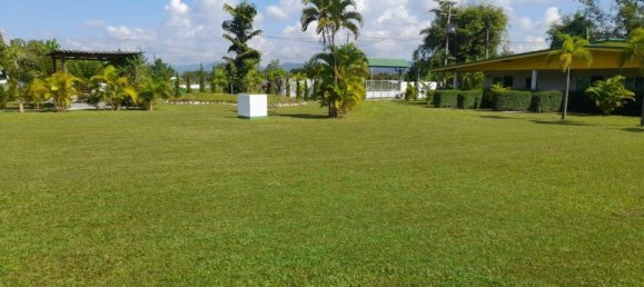  Commercial property in Chiang Mai, Thailand No. 4992 13