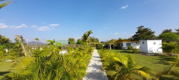  Commercial property in Chiang Mai, Thailand No. 4992 12