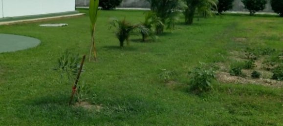  Commercial property in Chiang Mai, Thailand No. 4992 6