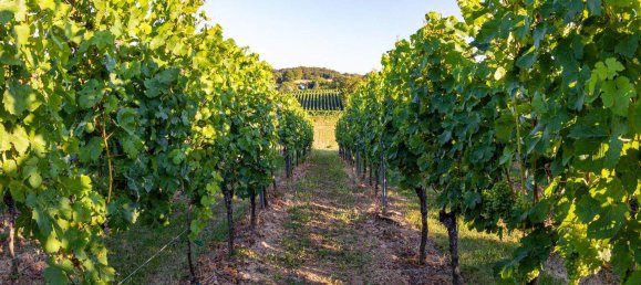 Terreno en Wahring, Austria No. 160532 5