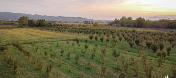 20 Schlafzimmer Haus in Castiglione del Lago, Italy, Nr. 53672 43