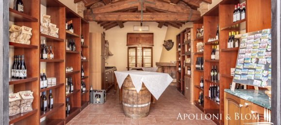 20 Schlafzimmer Haus in Castiglione del Lago, Italy, Nr. 53672 36