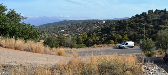 Hotel in Agios Nikolaos, Greece 12500m², Nr. 5437 3