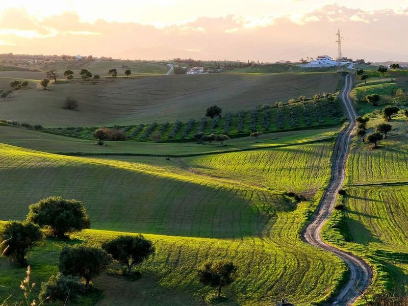  قطعة أرض في Alhaurin de la Torre, Spain 22700متر مربع رقم 228639