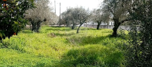 3 غرف نوم منزل في Abrantes, Portugal رقم 19740 27